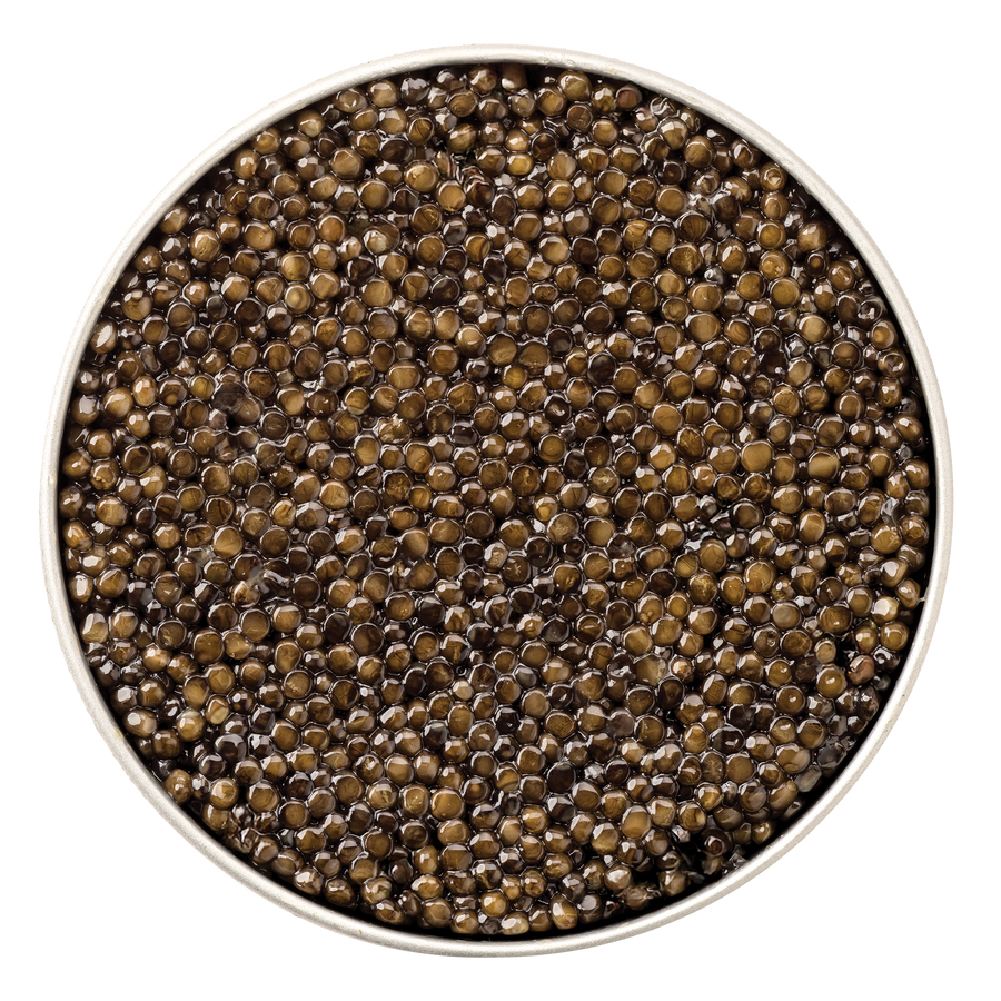 Giaveri Beluga Hybrid Caviar in a clear glass jar, showcasing glossy black caviar pearls from Browne Trading Company.