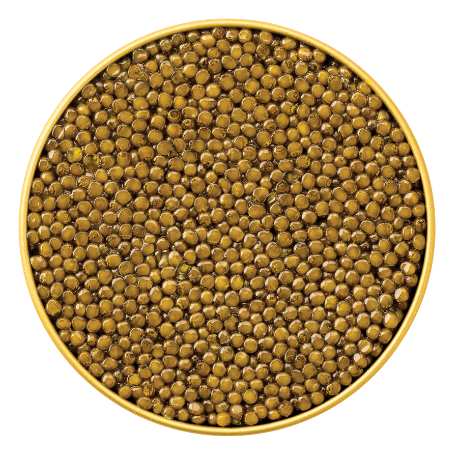 Imperial Caviamur caviar from Browne Trading Company displayed in a transparent container, showcasing glossy, black caviar pearls.