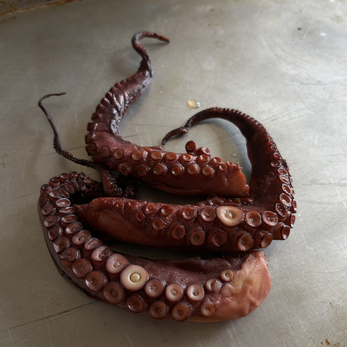 Smoked Octopus Tentacles