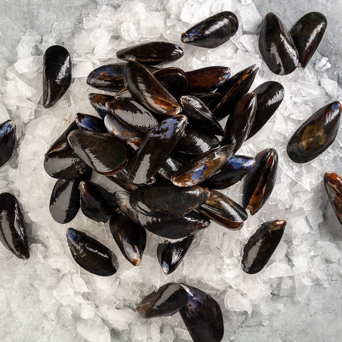 Maine Mussels