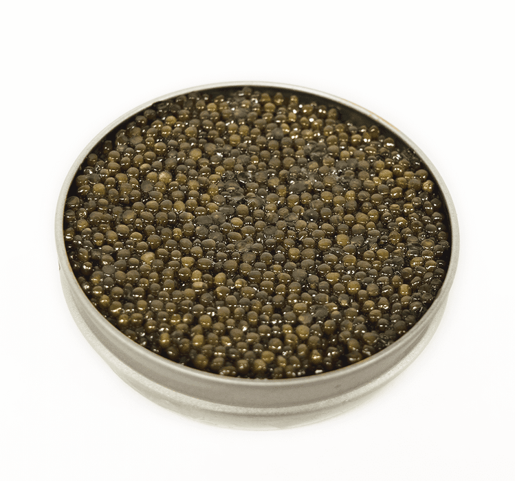Giaveri beluga hybrid caviar