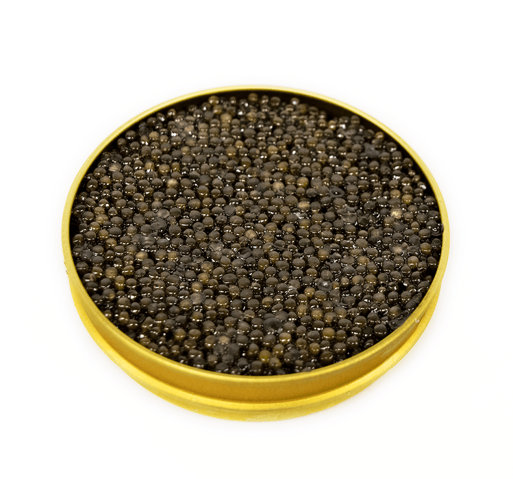 Giaveri Osetra Caviar