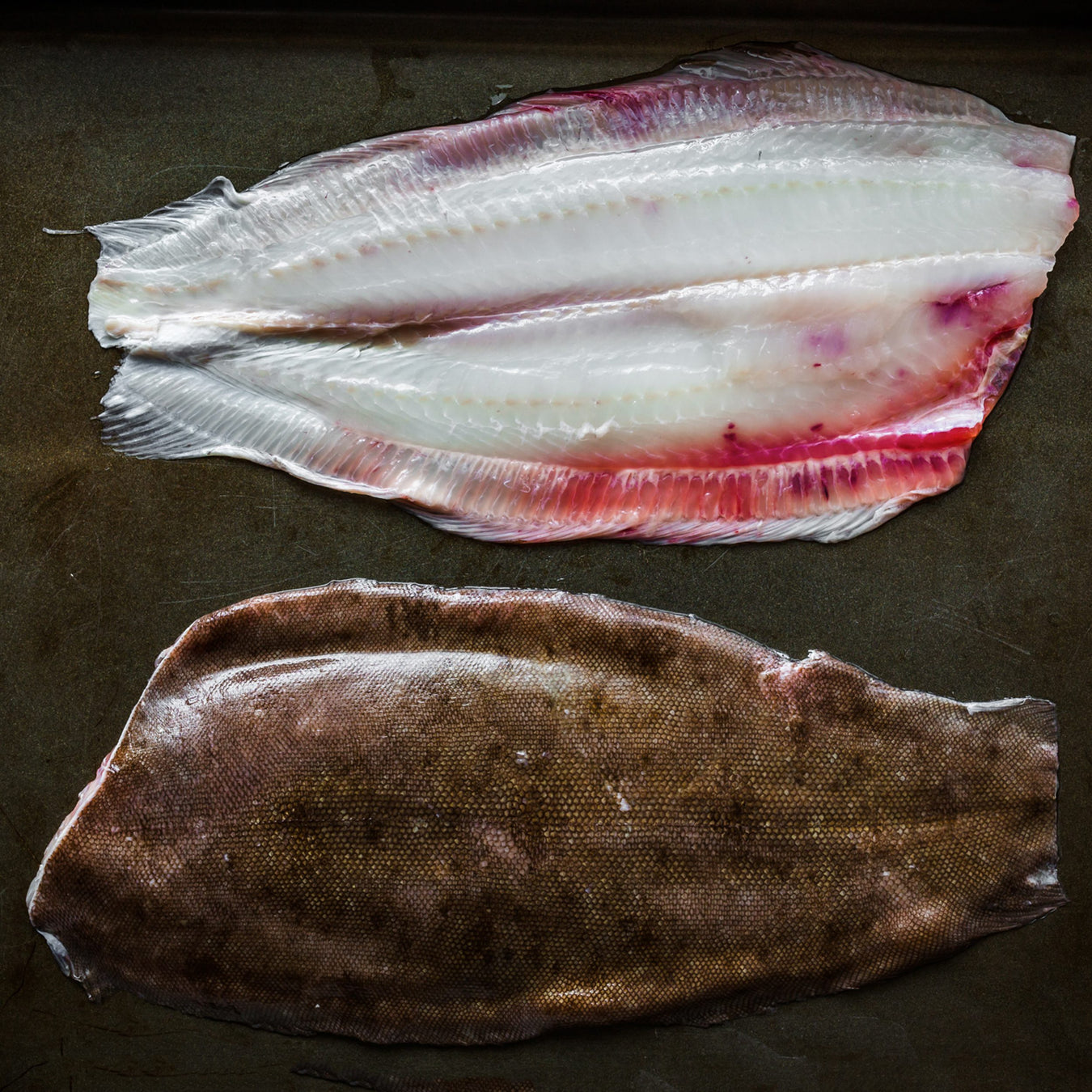 Flatfish (Dover Sole, Hali, Turbot)