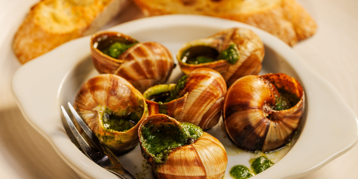 BT_Holiday_2024_Snails-