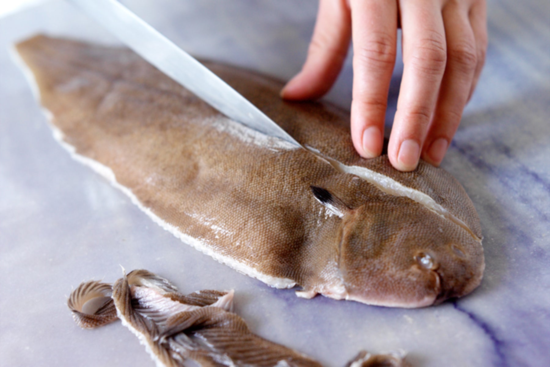 Filleting a Whole Flatfish