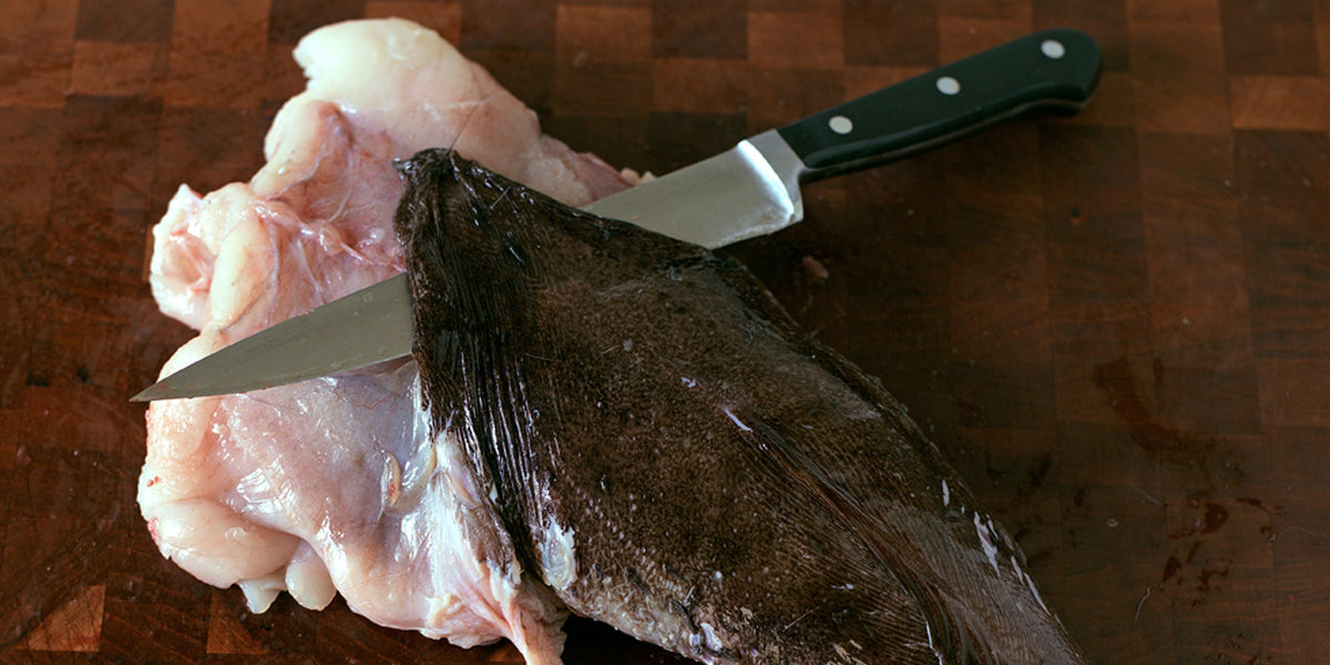 Filleting a Monkfish Tail