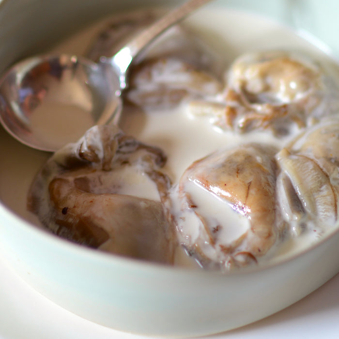 Simple Oyster Stew