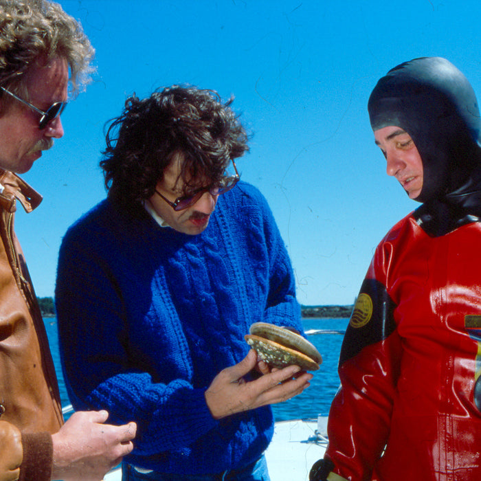 New England Scallops: Maine Diver and Nantucket Bay