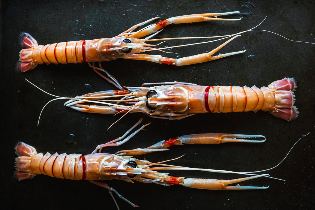 Langoustines