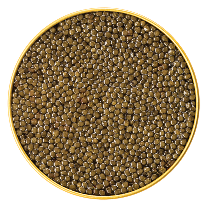 Antonius Osetra Caviar - Browne Trading Company