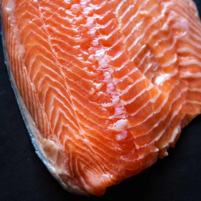 North Atlantic Salmon