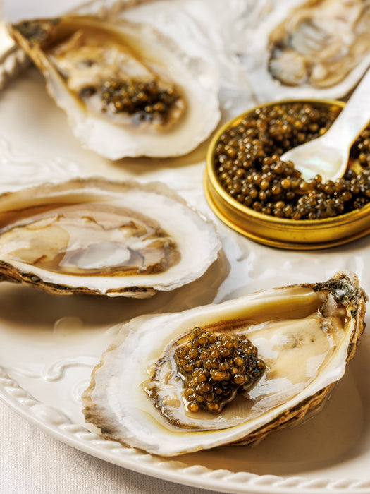 Maine Oysters