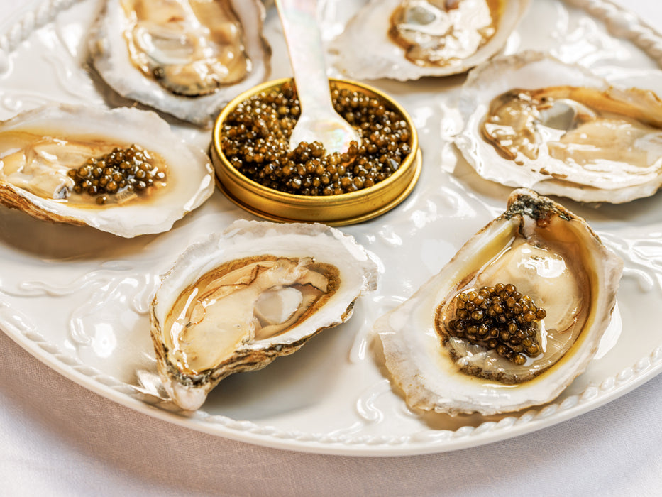 Maine Oysters