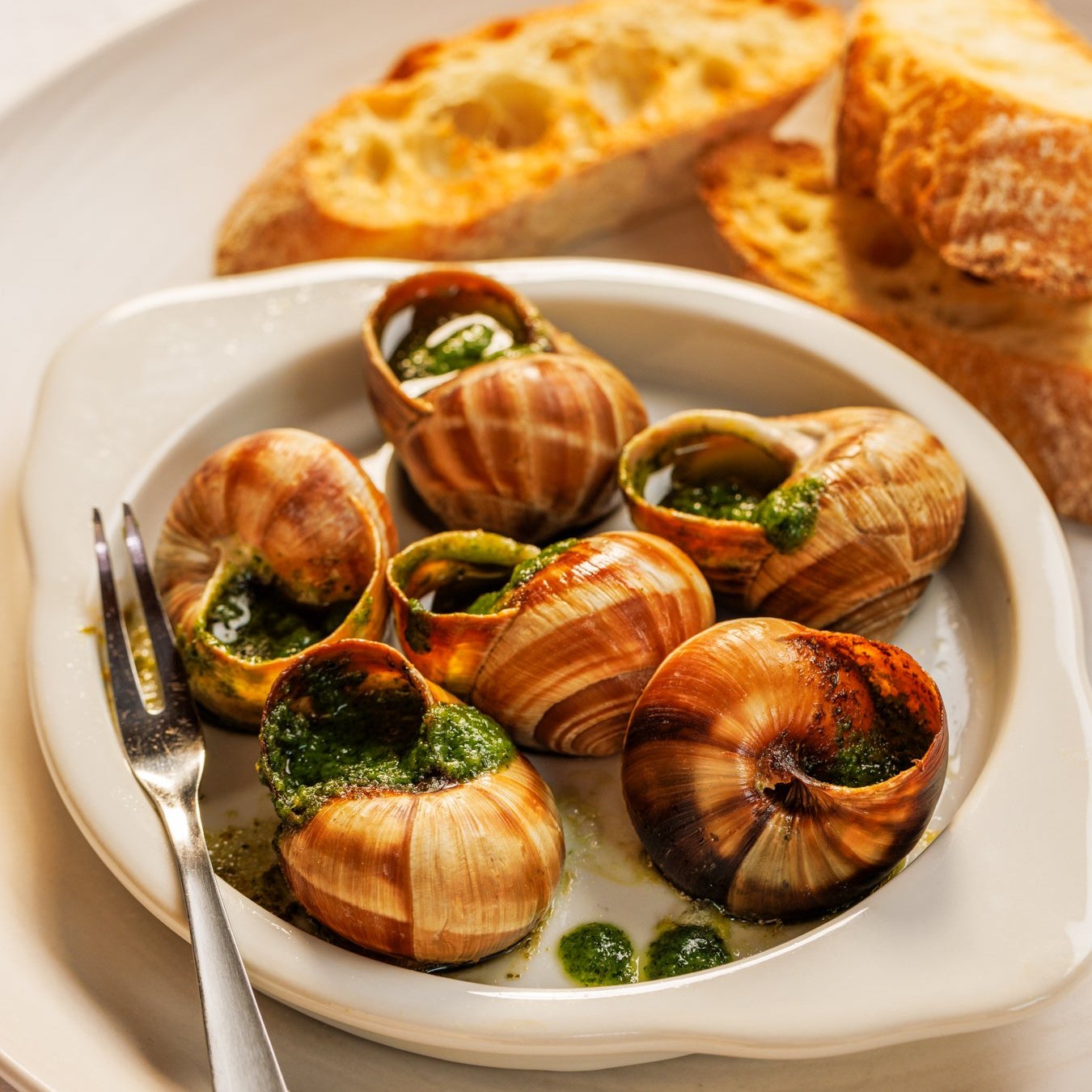Escargot, image size:1350x1350