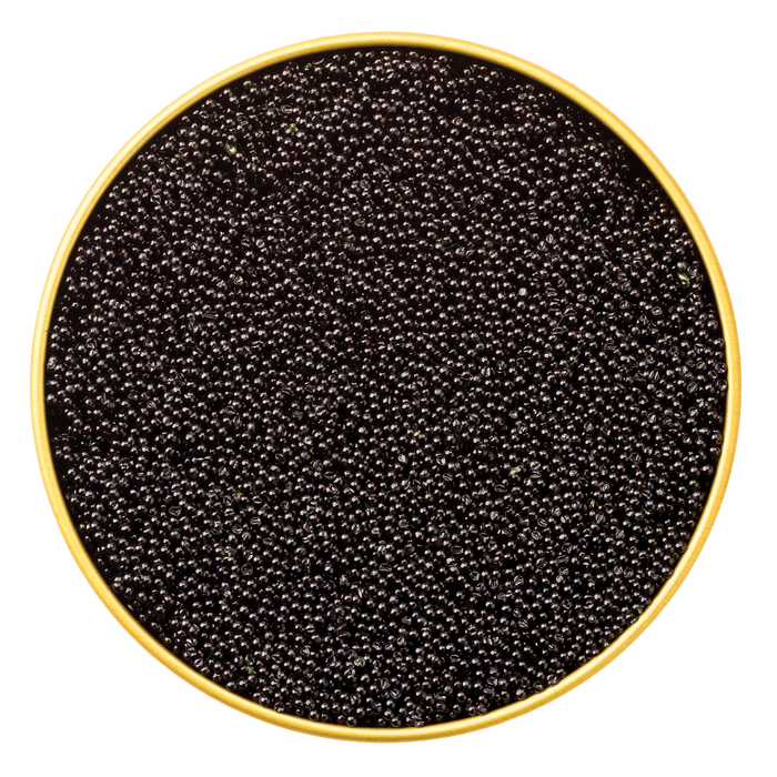 Black Tobikko Roe - Browne Trading Company
