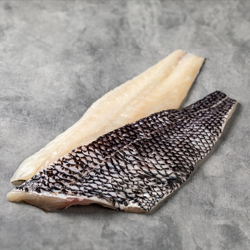 Cuttlefish - Wild Caught - Cleaned - Buy Online - Next Day Delivery —  Browne Trading Company