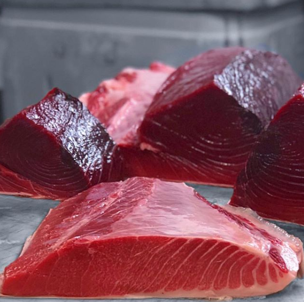 Maine Bluefin Tuna