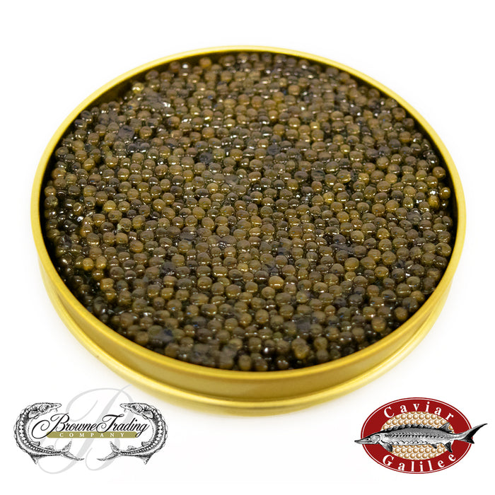 Caviar Galilee Royal Osetra