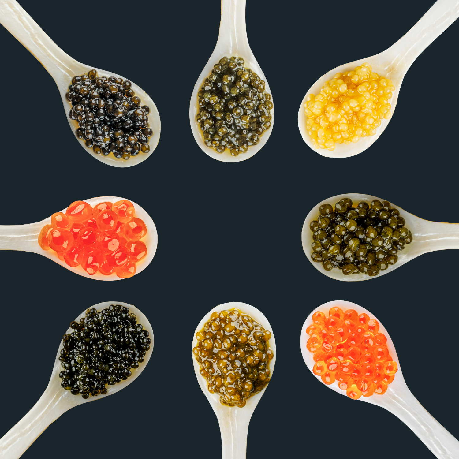 Discover Your Best Caviar