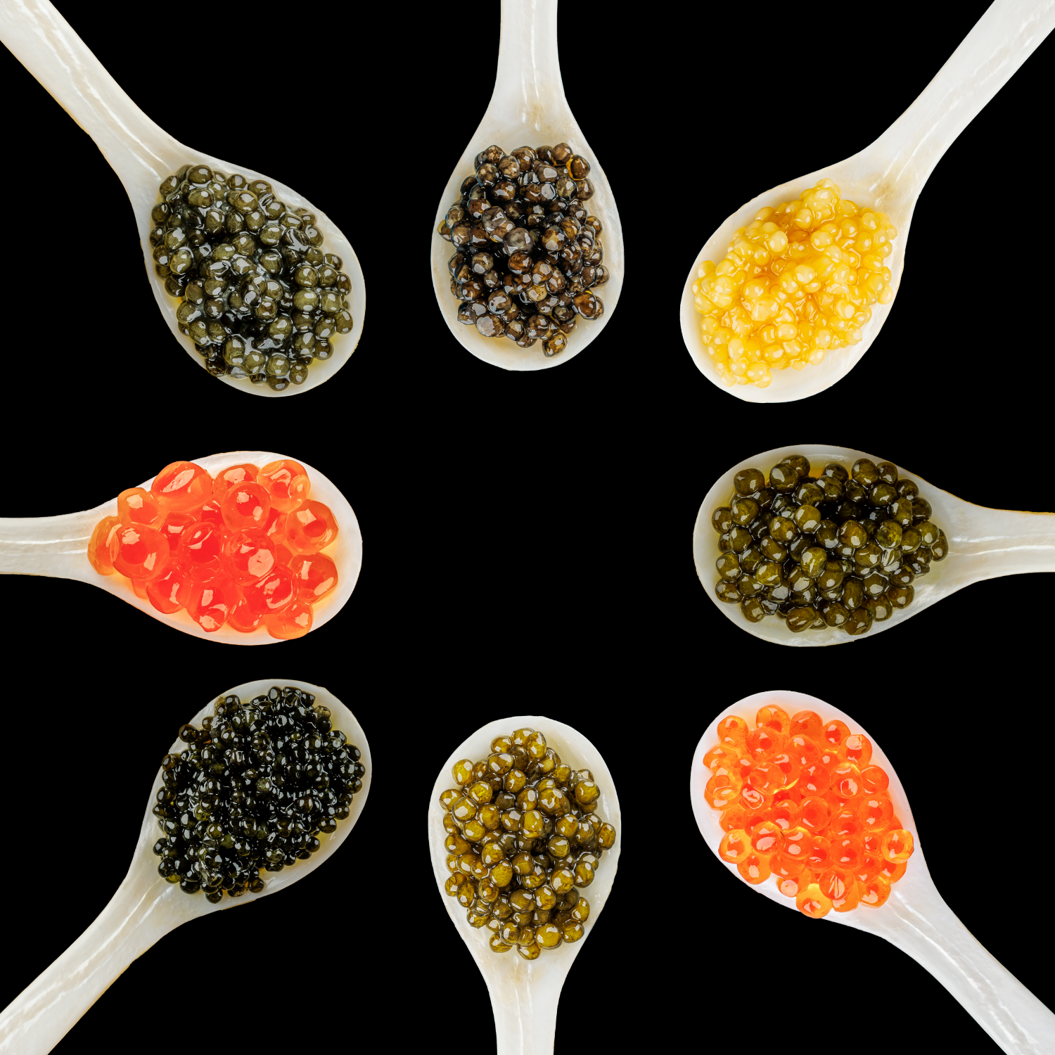 Discover Your Best Caviar