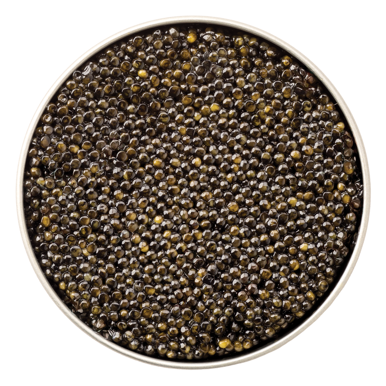 White Sturgeon Caviar