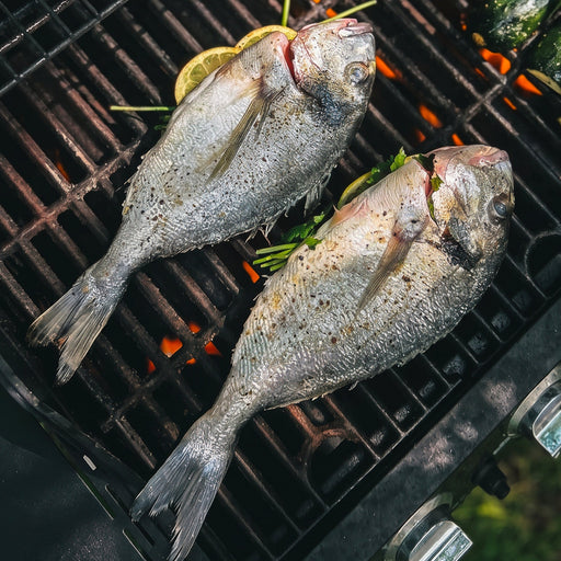Two daurade sea bream and vegetables being grilled on a barbecue