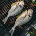 Two daurade sea bream and vegetables being grilled on a barbecue