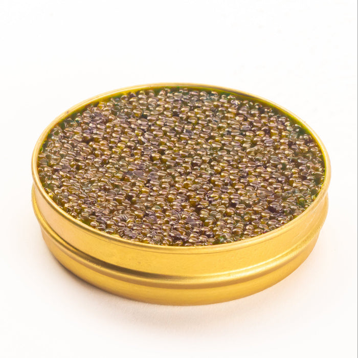 Side view of an opened gold tin containing shiny amber brown pearls on a white surface.