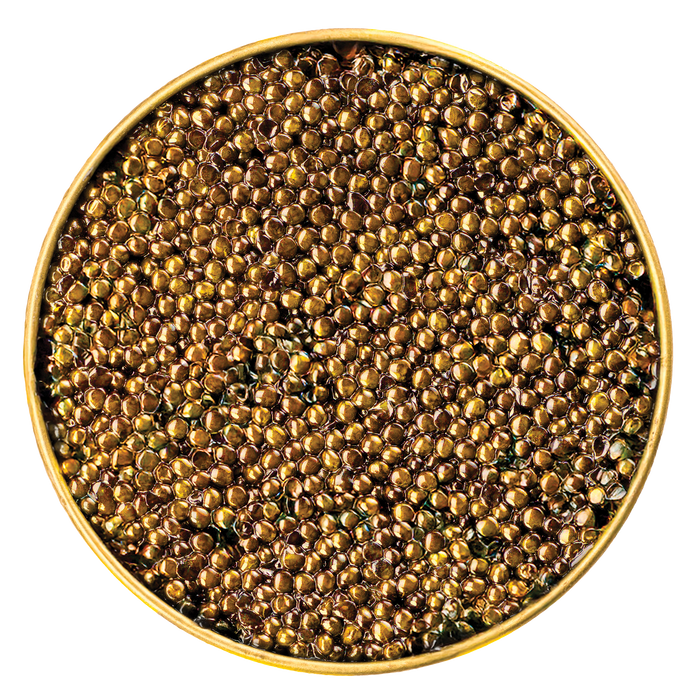 Close-up of glossy light pearls of Galilee Royal Osetra Caviar, showcasing its luxurious texture and exceptional color in a gold tin.