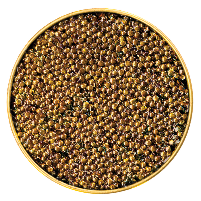 Galilee Royal Osetra Caviar - Browne Trading Company