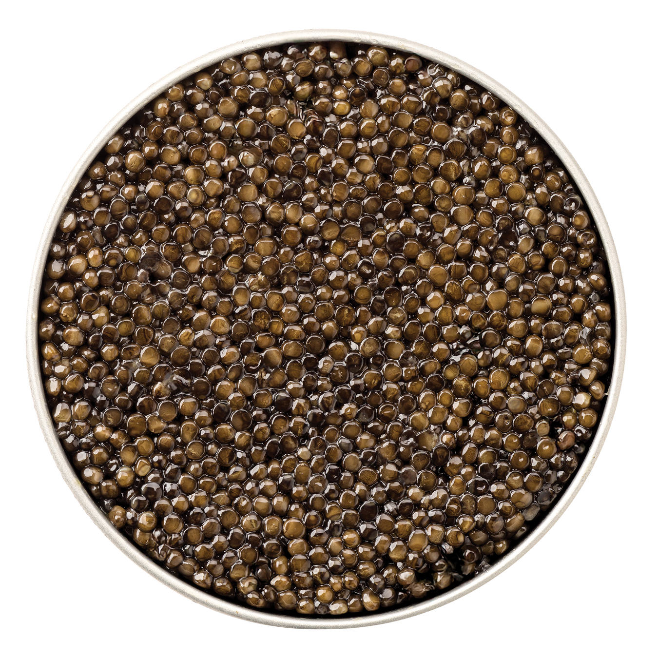 Beluga Caviar