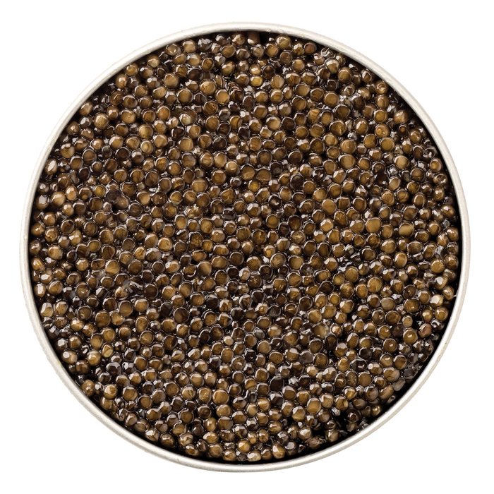 Giaveri Beluga Hybrid Caviar - Browne Trading Company