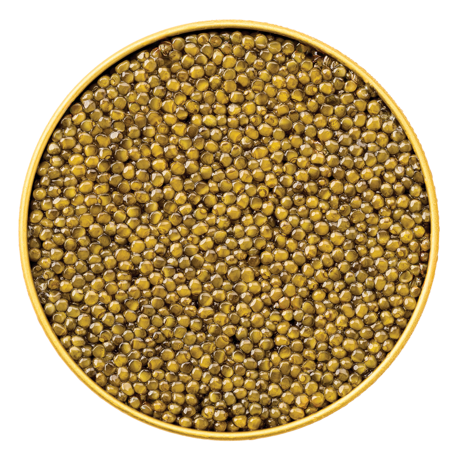 Glass jar of Giaveri Osetra Caviar from Browne Trading Company, showcasing shimmering golden eggs on a transparent background.