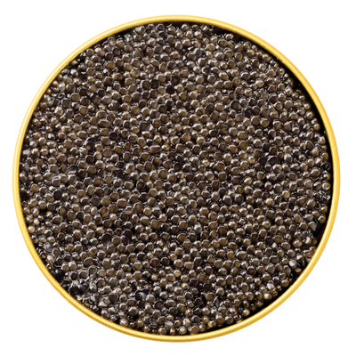 Close-up top view of glossy, dark caviar pearls neatly packed in a round gold rimmed tin showcasing premium Giaveri Siberian Caviar.