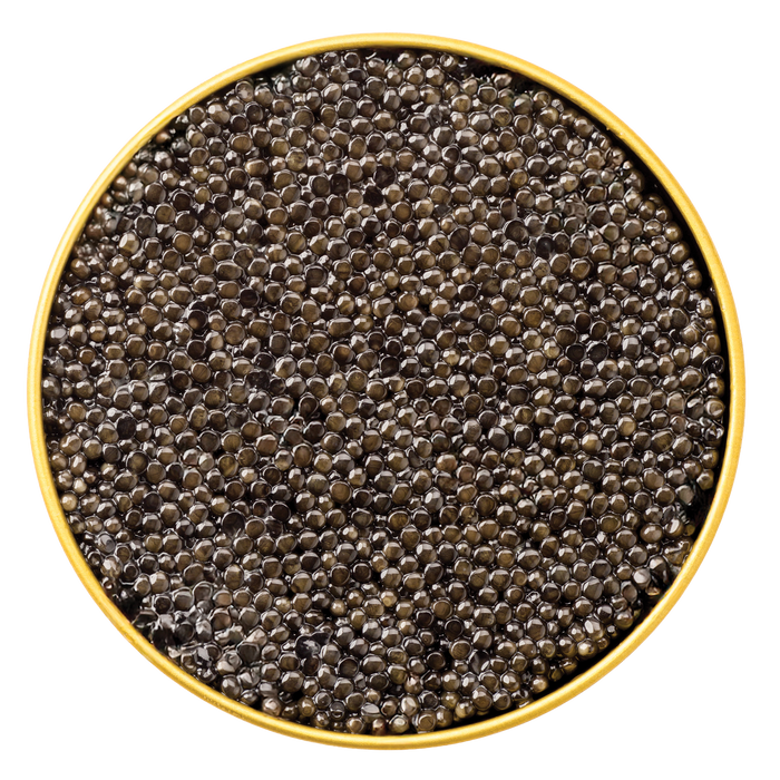 Giaveri Siberian Caviar - Browne Trading Company