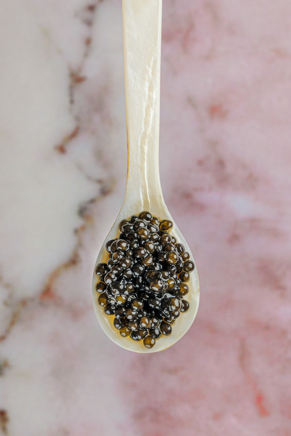 Giaveri Beluga Hybrid.jpg__PID:457124a4-7763-4308-9571-46fcb1e1e100