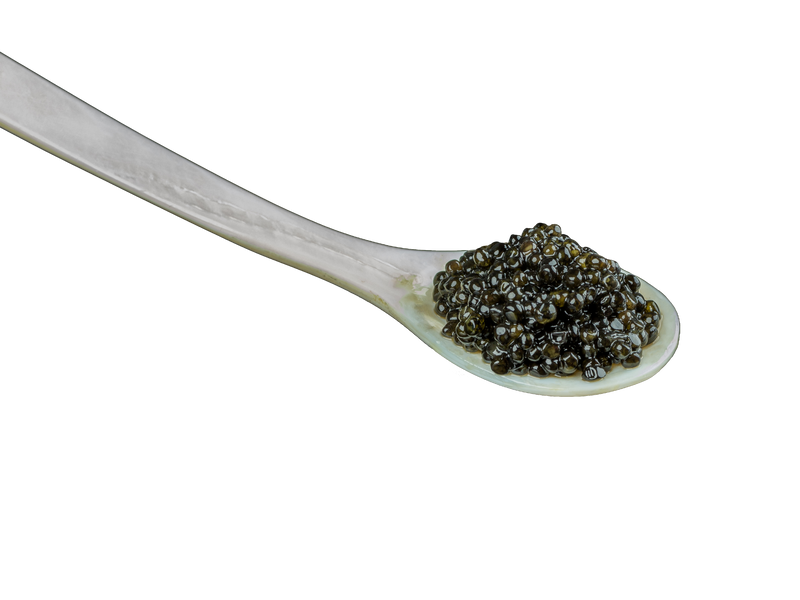 Close-up of a white spoon holding a small pile of shiny black fish eggs against a black background.