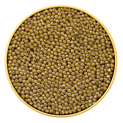 Close-up top view of a luxurious tin filled with glossy golden Imperial Osetra Caviar, showcasing the firm texture and rich color of each pearl.