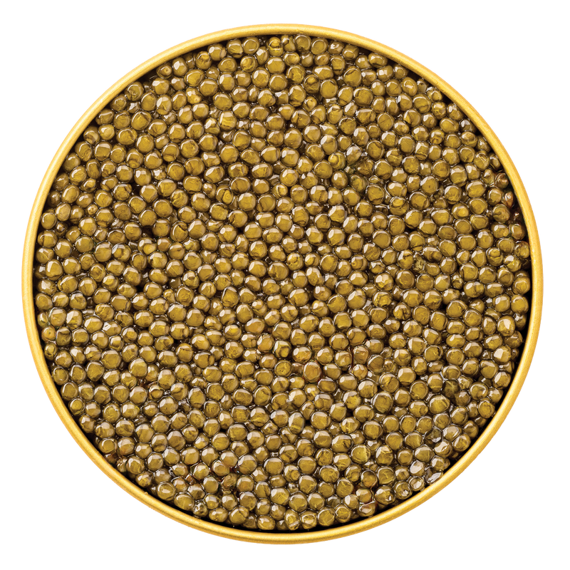 Close-up top view of a luxurious tin filled with glossy golden Imperial Osetra Caviar, showcasing the firm texture and rich color of each pearl.