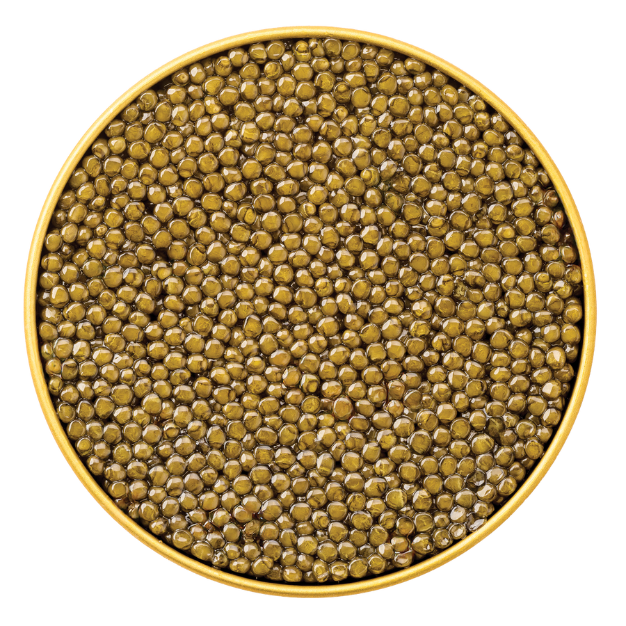 Imperial Osetra caviar from Browne Trading Company in a transparent container, showcasing glossy, golden eggs.