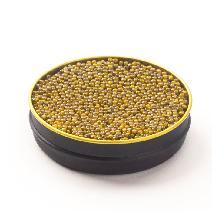 Side view of an opened black tin with a gold band containing brown and gold pearls on a white surface.