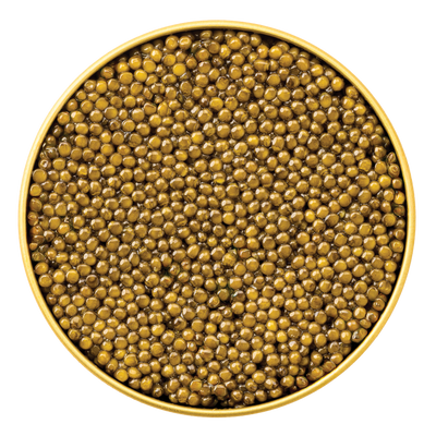 Close-up of golden Kaluga Malossol Caviar packed evenly in a round container, showcasing its glossy, firm texture and beautiful amber color.