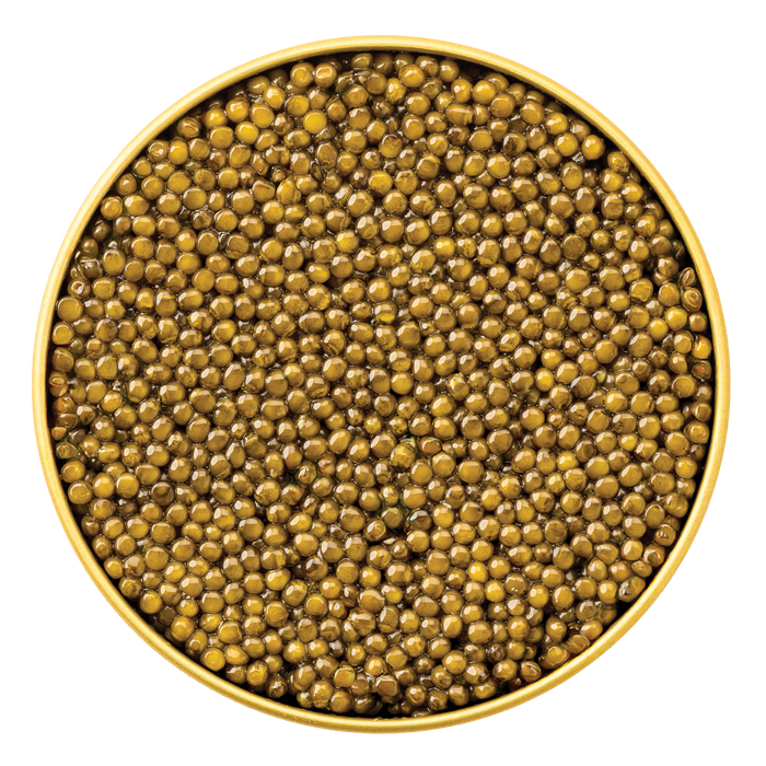 Kaluga Malossol Caviar