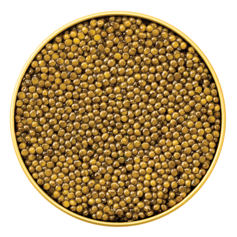 Kaluga Malossol caviar from Browne Trading Company in a transparent container with glossy black eggs and silver spoon.