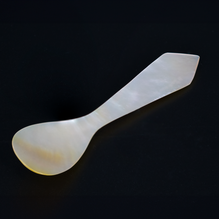 Traditional Mother of Pearl Spoon