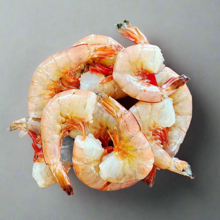 North Carolina White Shrimp