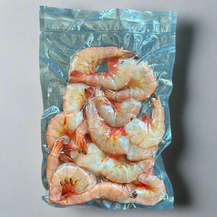 North Carolina White Shrimp