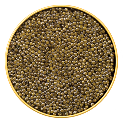 Close-up view of a tin filled with Osietra Supreme Caviar, showcasing glossy, uniform dark golden beads known for their rich, nutty flavor.