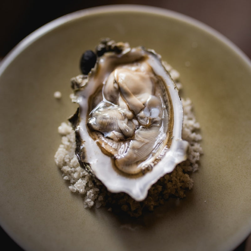 Maine Oysters - Browne Trading Company