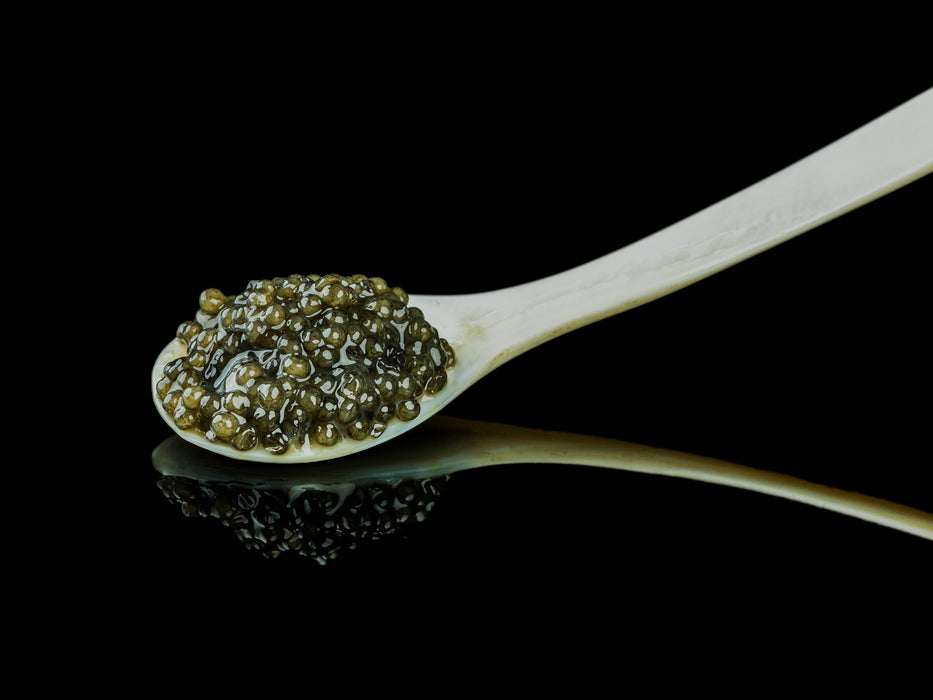 Paddlefish Caviar (Spoonbill) - Browne Trading Company